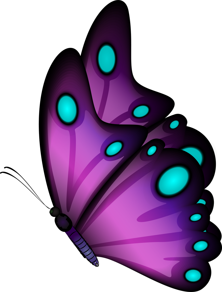 Purple Butterfly